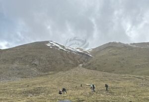 虫草知识 压缩后