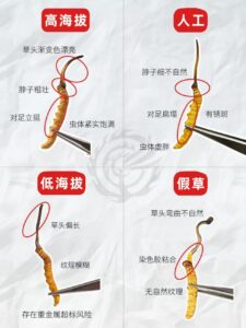 微信图片 20260425134032 72 10