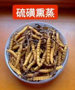 虫草知识 微信图片 20260425144529 80 10